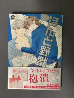 ほんと野獣19　山本小鉄子