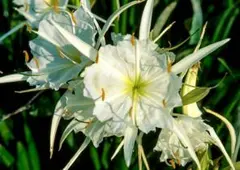 miyakz様 リクエスト 3点 まとめ商品