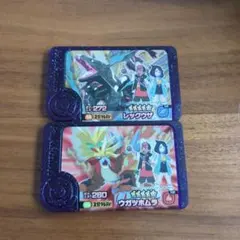 ポケモンフレンダ　六英雄黒いレックウザ　ウガツホムラスーパートレジャー