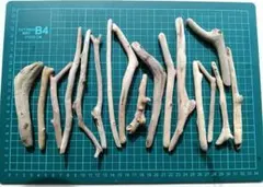 流木 約18本 セット　工作素材　自然素材