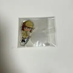 名探偵コナン 灰原哀 ミニアクスタ