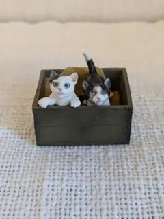 猫フィギュア　子猫2匹　箱入り