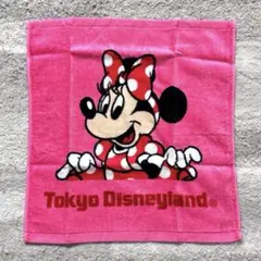【新品未使用】 東京ディズニーランド限定 ミニーマウス ウォッシュタオル