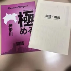 極める 神奈川 国語 臨海セミナー　2025年のサムネイル