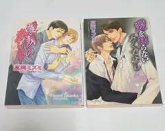 BL 文庫小説「愛を知らないろくでなし」「愛執の赤い月」高岡ミズミ 2冊セット