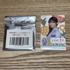 乃木坂46 五百城茉央 真夏の全国ツアー2025 缶バッジ