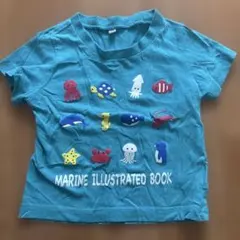 ベビー Tシャツ 80cm 海の生き物柄