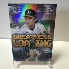 Item thumbnail for item 91bc2a70-4e93-4d0f-af9c-277ed08e6e01