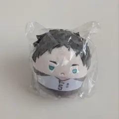 ハイキューくじメイトぬいくじD賞ふわコロりん 赤葦京治 - メルカリ