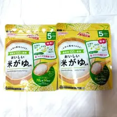 和光堂　おいしい米がゆ　徳用　2点　新品未開封