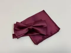 蝶ネクタイ セット