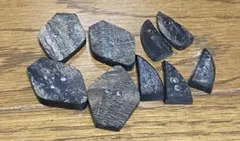 Item thumbnail for item 288763e9-c660-4583-ab73-64e1493ad1b6