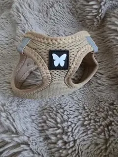 Item thumbnail for item a86807bf-c935-491e-8638-4a7a8f0ce8f3