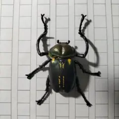 2026年最新】テナガコガネの人気アイテム - メルカリ