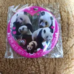 シャンシャン「缶バッジ 中」叶氏【未開封新品】【バラ売り可能】 2025年最新】シャンシャン 缶バッジの人気アイテム - メルカリ