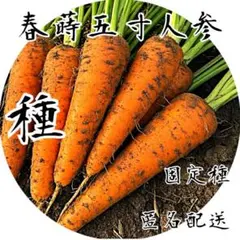 kane様 リクエスト 2点 まとめ商品