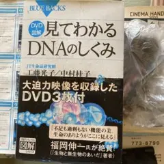 Item thumbnail for item fc4dbbea-da54-4516-97e1-22ca811649f9