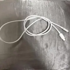 USB-C 充電ケーブル ホワイト　Google純正