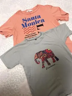 Tシャツ2枚セットです　140cm