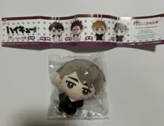 ハイキュー　ガチャガチャ　かぷっこふれんず4 宮治