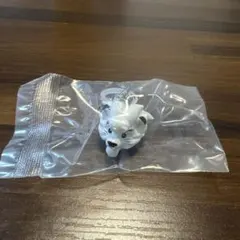 プロ野球マスコット　めじるしアクセサリー　レオ