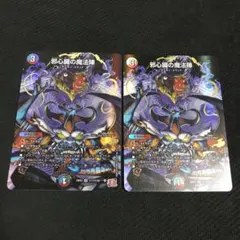 邪心臓の魔法陣　シークレット　シク