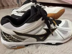 Mizuno WAVE FANG XT3 バドミントンシューズ 24.5㎝