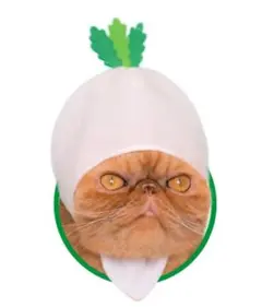 Item thumbnail for item 65a3c527-b9d1-4a3c-b180-5b2d35707cdb