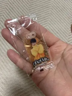 向井康二 お守りキーホルダー