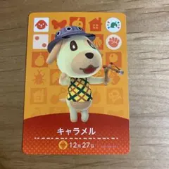 どうぶつの森 amiiboカード キャラメル PSA10 フェスティバル プロモ どうぶつの森 amiiboカード キャラメル PSA10 フェスティバル プロモ
