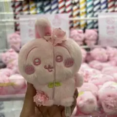 ちいかわ ぬいぱれっと さくらいろ うさぎ