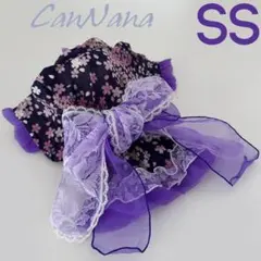 Item thumbnail for item ef20d983-df38-4a79-b70d-39c24debfc3d