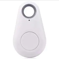 Item thumbnail for item 9e597ab4-cb76-46ba-8d9f-afe7915c8b23