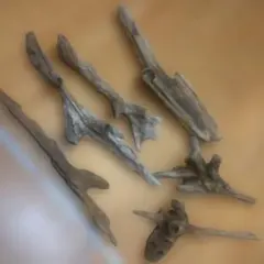 Item thumbnail for item 20096e14-ef16-499b-b3c9-bd1538fd5840