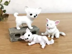 チワワ 白 3匹 ミニブロック付き