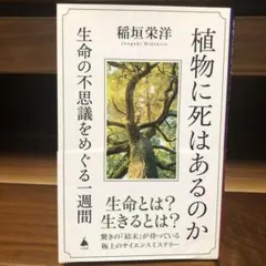 Item thumbnail for item 176364c6-62e4-48df-bd9a-623ec797fdef