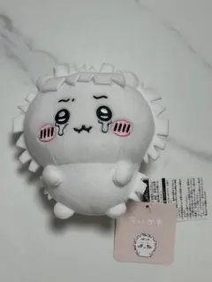 jellygremlin様 リクエスト 2点 まとめ商品