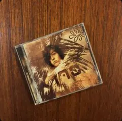 【天才SSW】七尾旅人 / 雨に撃たえば...! disc2