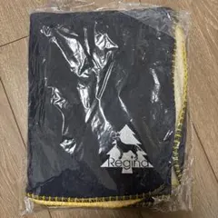 Item thumbnail for item 55ef5436-82a4-42c9-8b11-a5653294adda