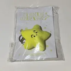 NCT MARK THE UNITY ヒトデキーリング イリチル NCT127