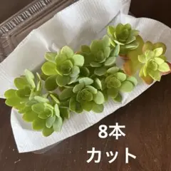 ぽんず様 リクエスト 2点 まとめ商品