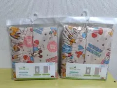 Item thumbnail for item 1d34cdd1-7ac4-454e-acf7-f43cdf5e0a33