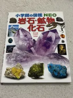 岩石・鉱物・化石 小学校の図鑑 NEO