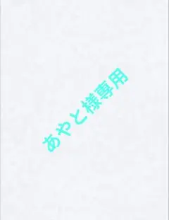 あやと様 リクエスト 2点 まとめ商品