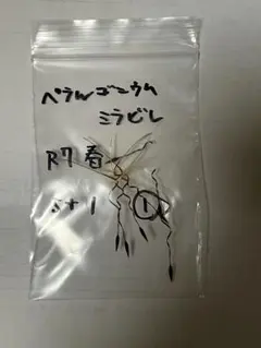 ペラルゴニウム ミラビレ　種子5+1 ①のサムネイル