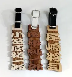 Item thumbnail for item dae26ac5-8da0-47a8-be35-4c6f2ce07d1e