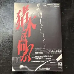 プロレス関連書籍セット　45冊セット 女子プロレス RING PLUS Vol.7（週刊プロレス別冊 立夏号