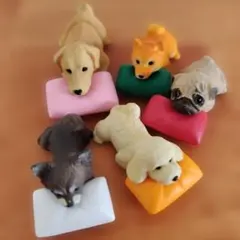 犬 フィギュア ５体セット あごのせわんこ 全５種