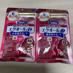 小林製薬命の母エクオールα+美容サポート 30日分×4袋セット - メルカリ