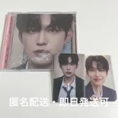 ALD1 EUPHORIA jewel case ゴヌ トレカ コンプ